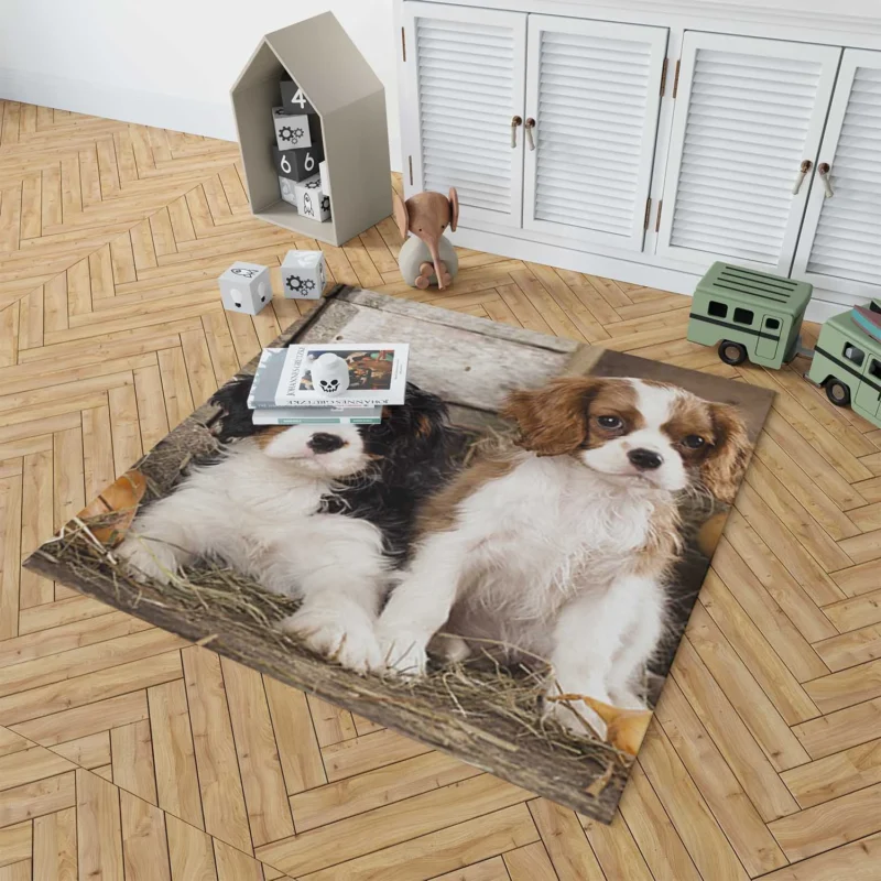 Cavalier Quartet of Love: King Charles Spaniels Floor Rug 1