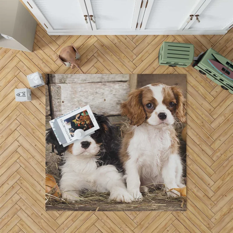 Cavalier Quartet of Love: King Charles Spaniels Floor Rug