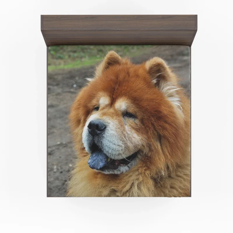 Celebrating Chow Chow Charm Fitted Sheet