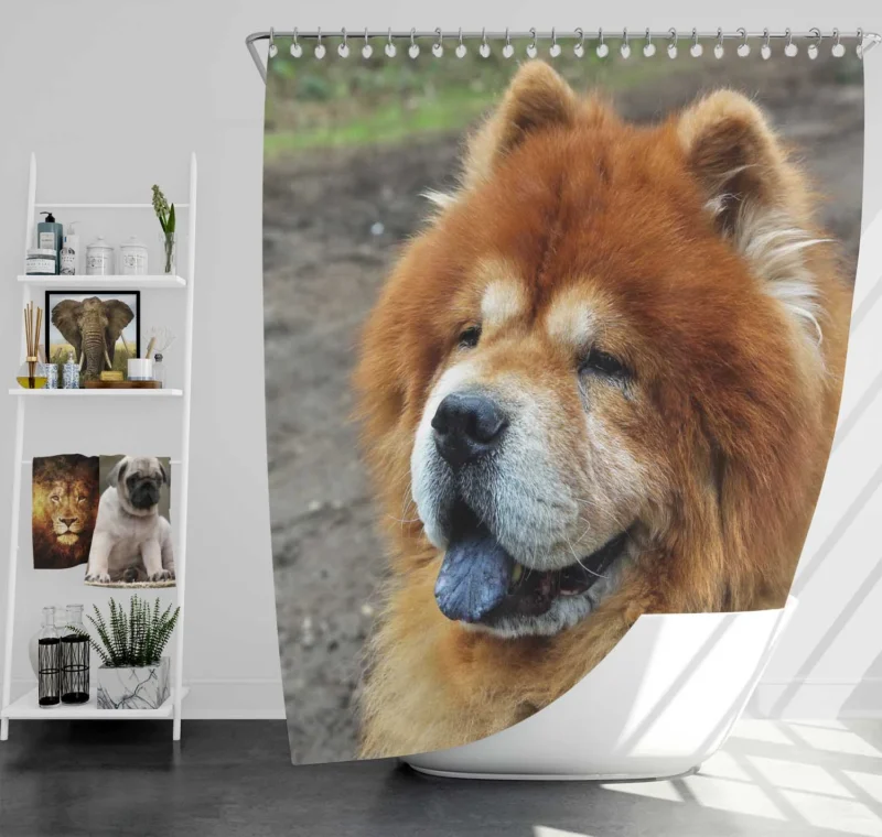 Celebrating Chow Chow Charm Shower Curtain