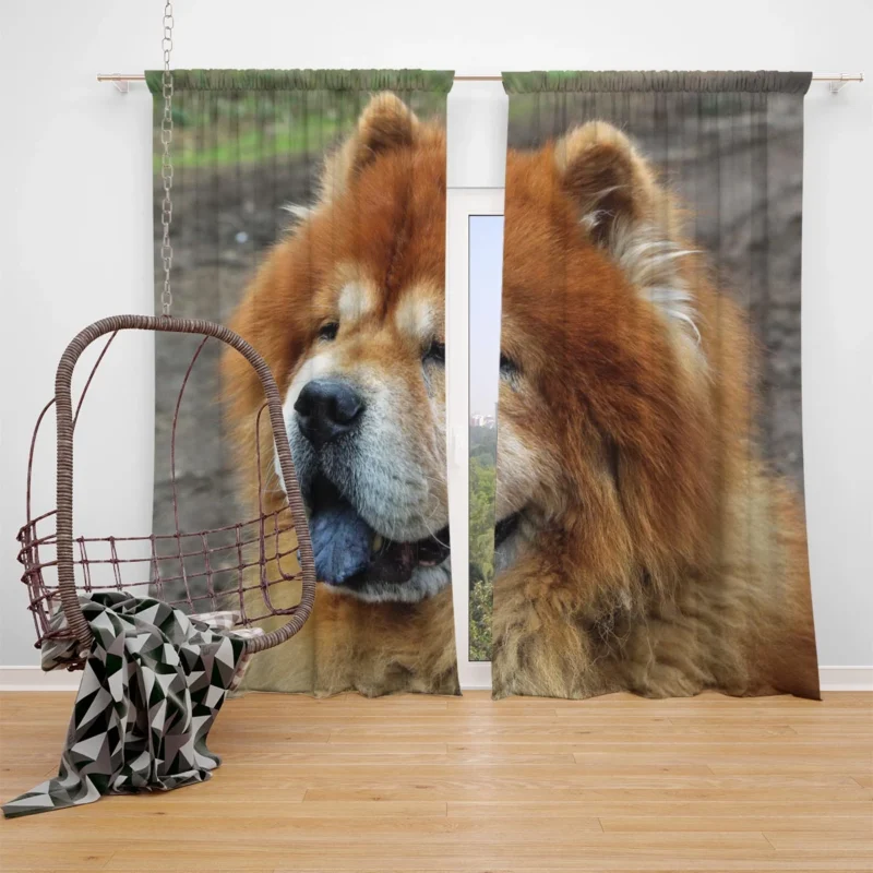 Celebrating Chow Chow Charm Window Curtain