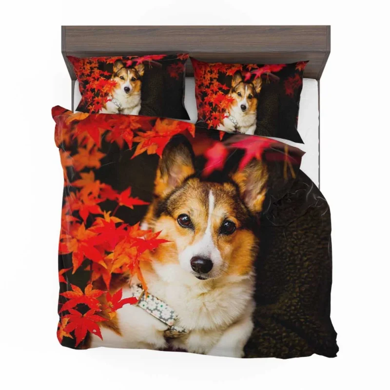 Celebrating Corgi Charm: Corgi Wallpaper Bedding Set 1