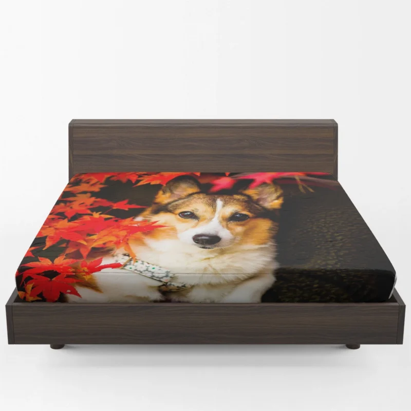 Celebrating Corgi Charm: Corgi Wallpaper Fitted Sheet 1