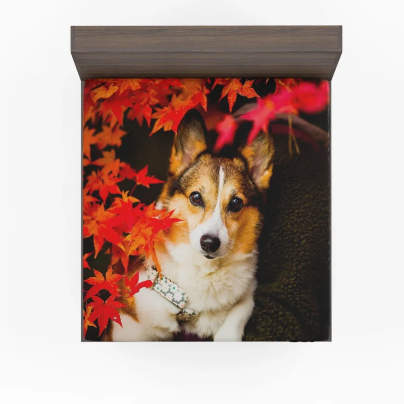 Celebrating Corgi Charm: Corgi Wallpaper Fitted Sheet