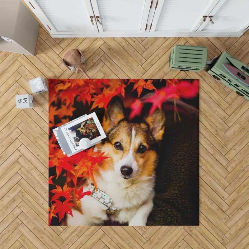 Celebrating Corgi Charm: Corgi Wallpaper Floor Rug