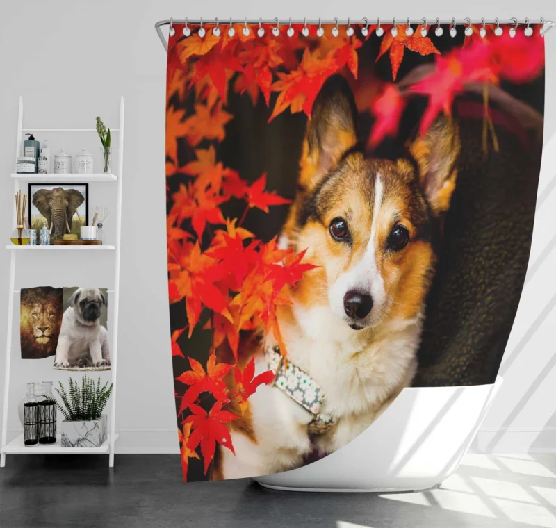 Celebrating Corgi Charm: Corgi Wallpaper Shower Curtain
