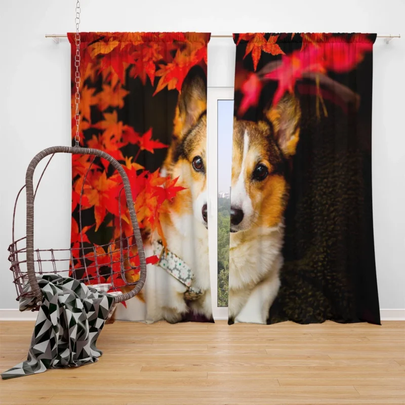 Celebrating Corgi Charm: Corgi Wallpaper Window Curtain