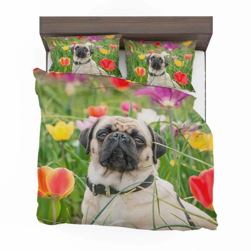 Charm of Canine Pugs: Pug Quartet Bedding Set 1