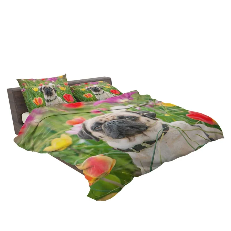 Charm of Canine Pugs: Pug Quartet Bedding Set 2