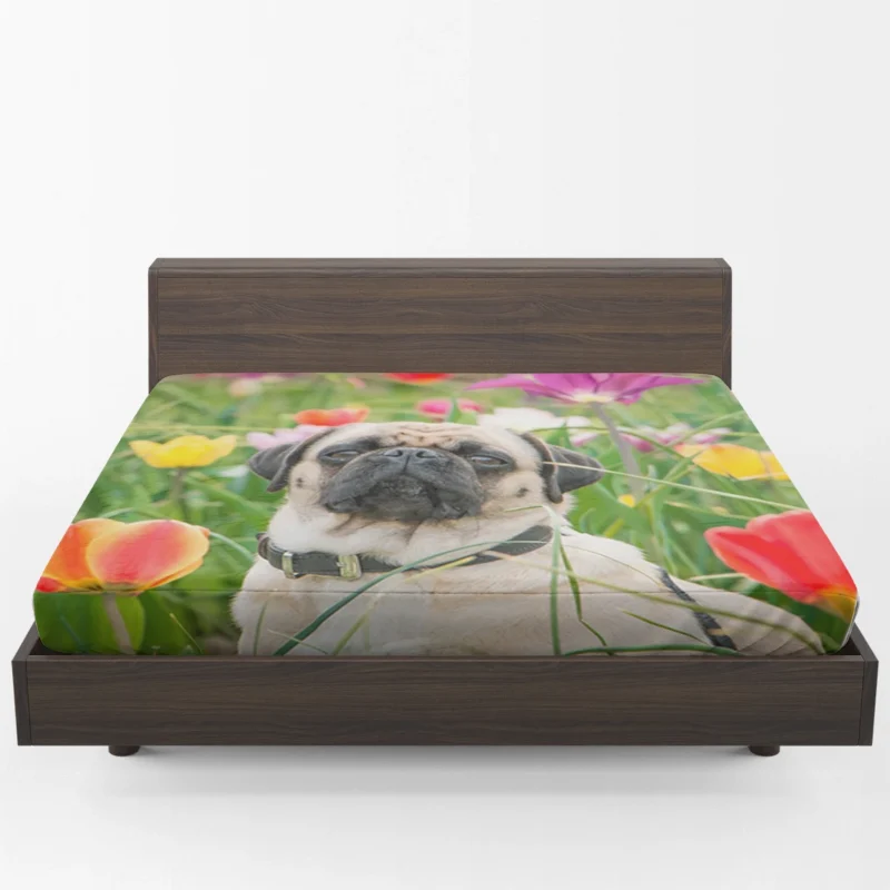 Charm of Canine Pugs: Pug Quartet Fitted Sheet 1