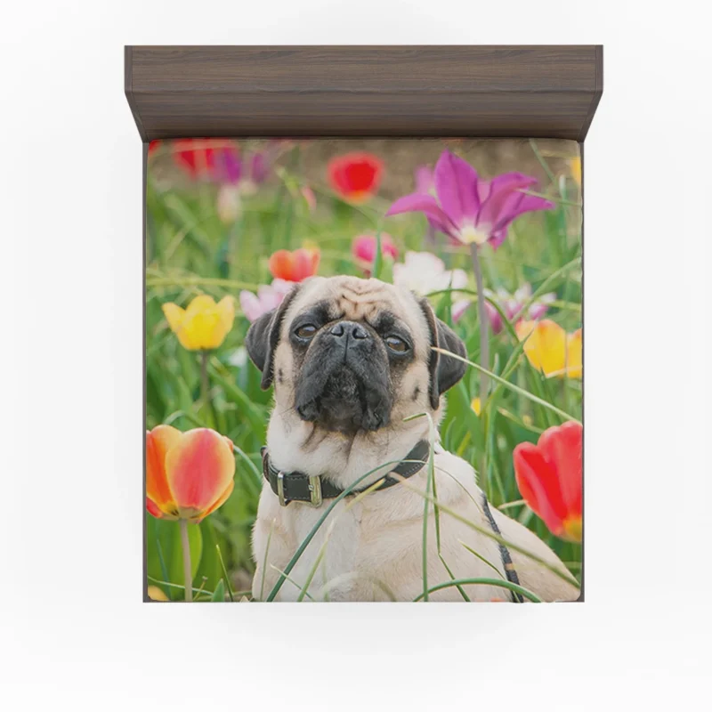 Charm of Canine Pugs: Pug Quartet Fitted Sheet