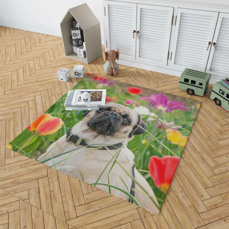 Charm of Canine Pugs: Pug Quartet Floor Rug 1