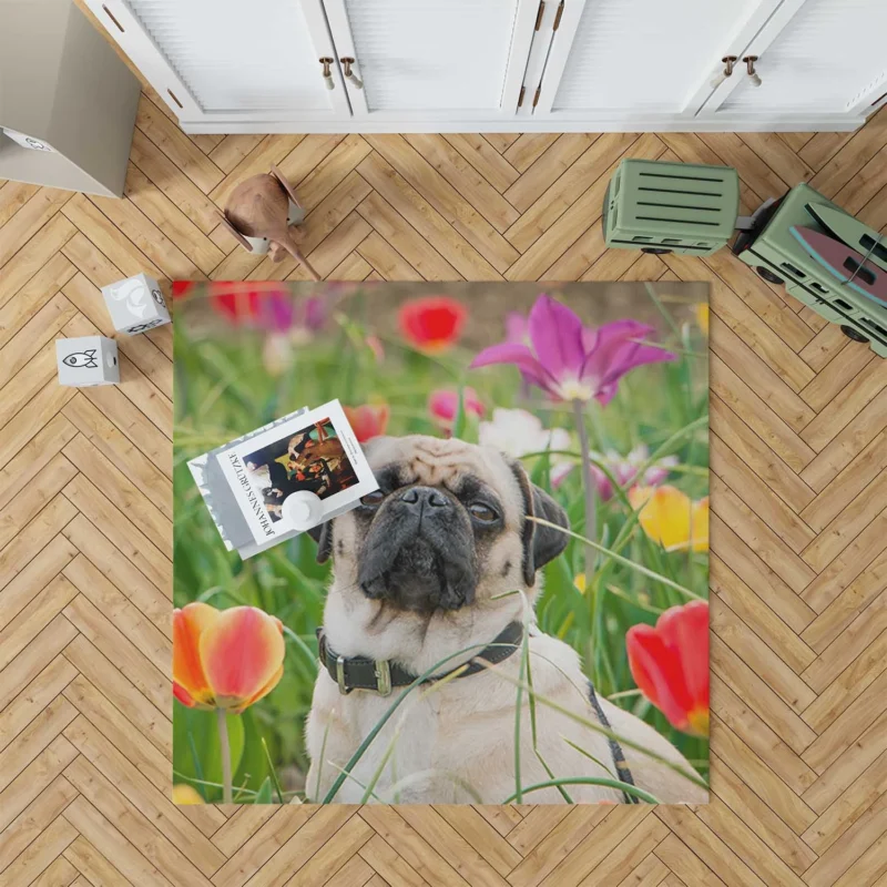 Charm of Canine Pugs: Pug Quartet Floor Rug