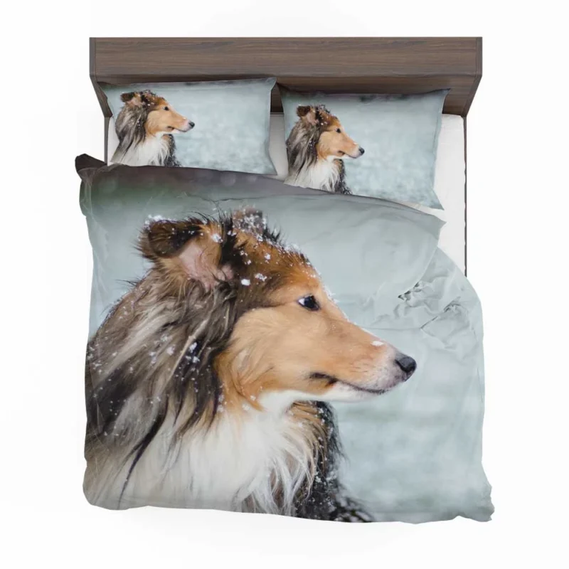 Charm of Collie Quartet: Fourfold Collie Beauty Bedding Set 1