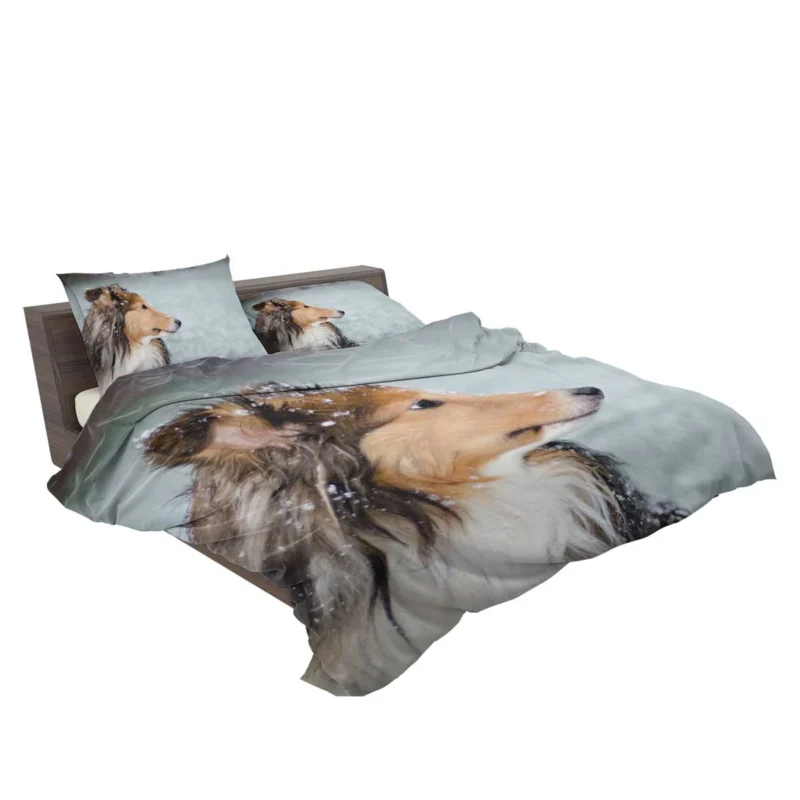 Charm of Collie Quartet: Fourfold Collie Beauty Bedding Set 2