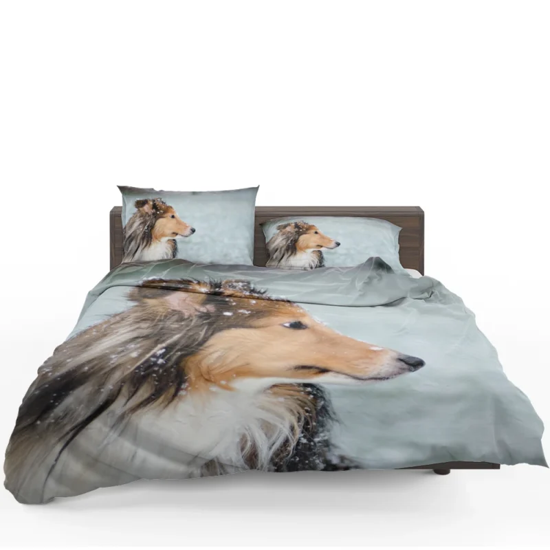 Charm of Collie Quartet: Fourfold Collie Beauty Bedding Set