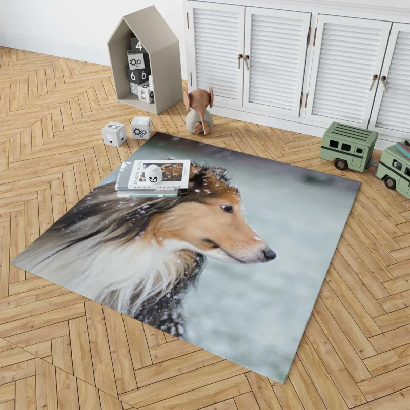 Charm of Collie Quartet: Fourfold Collie Beauty Floor Rug 1