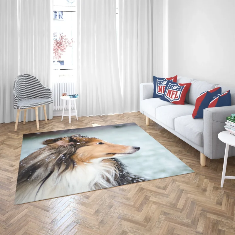 Charm of Collie Quartet: Fourfold Collie Beauty Floor Rug 2