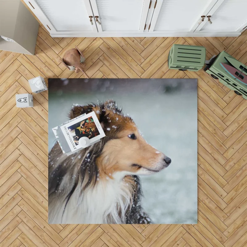 Charm of Collie Quartet: Fourfold Collie Beauty Floor Rug