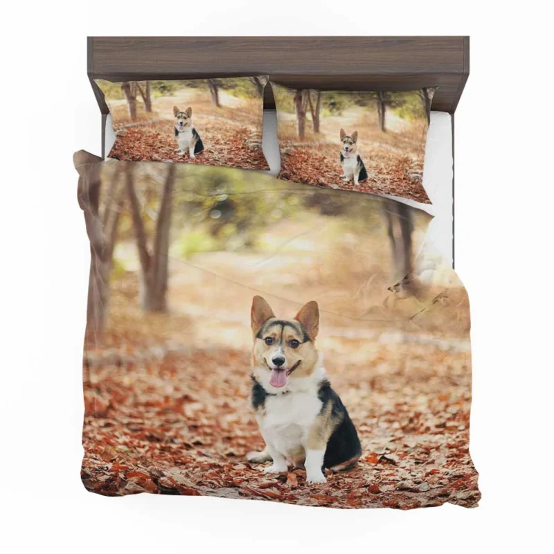 Charming Corgi Quartet: Fourfold Cuteness Bedding Set 1