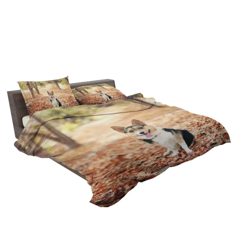 Charming Corgi Quartet: Fourfold Cuteness Bedding Set 2