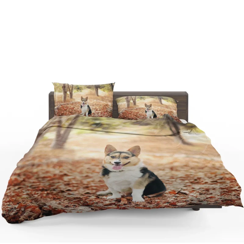 Charming Corgi Quartet: Fourfold Cuteness Bedding Set