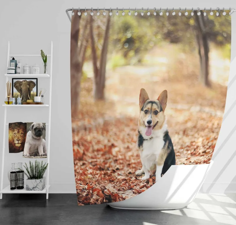 Charming Corgi Quartet: Fourfold Cuteness Shower Curtain