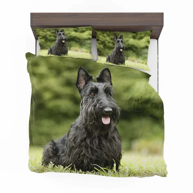 Charming Scottish Terrier Gathering Bedding Set 1