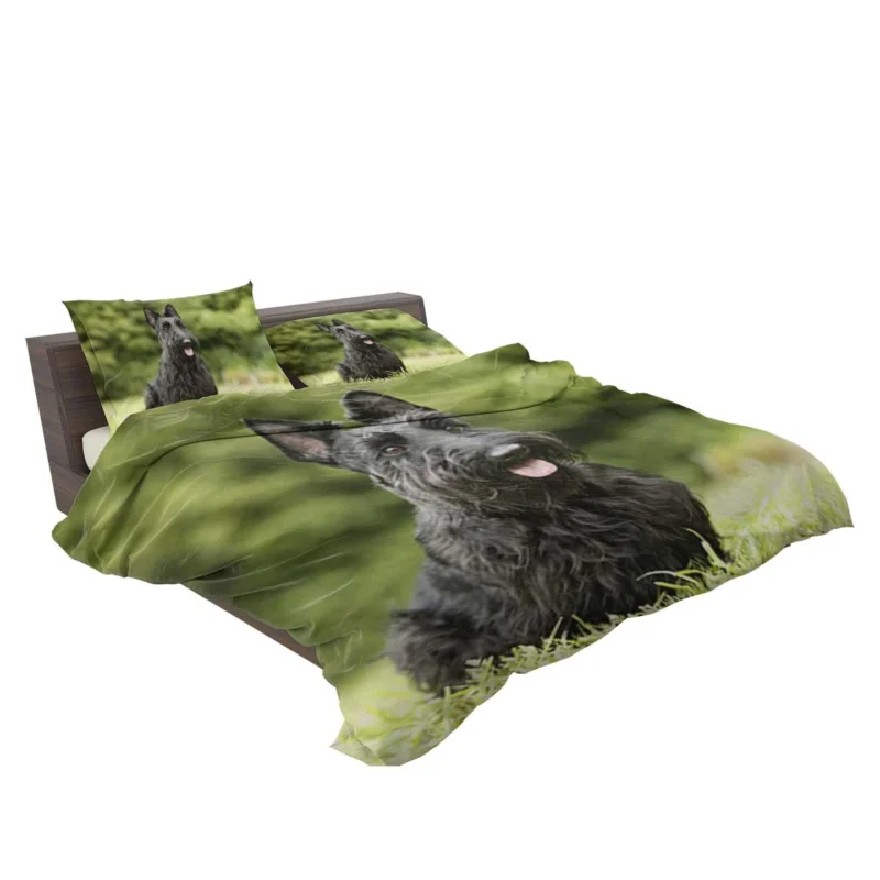 Charming Scottish Terrier Gathering Bedding Set 2