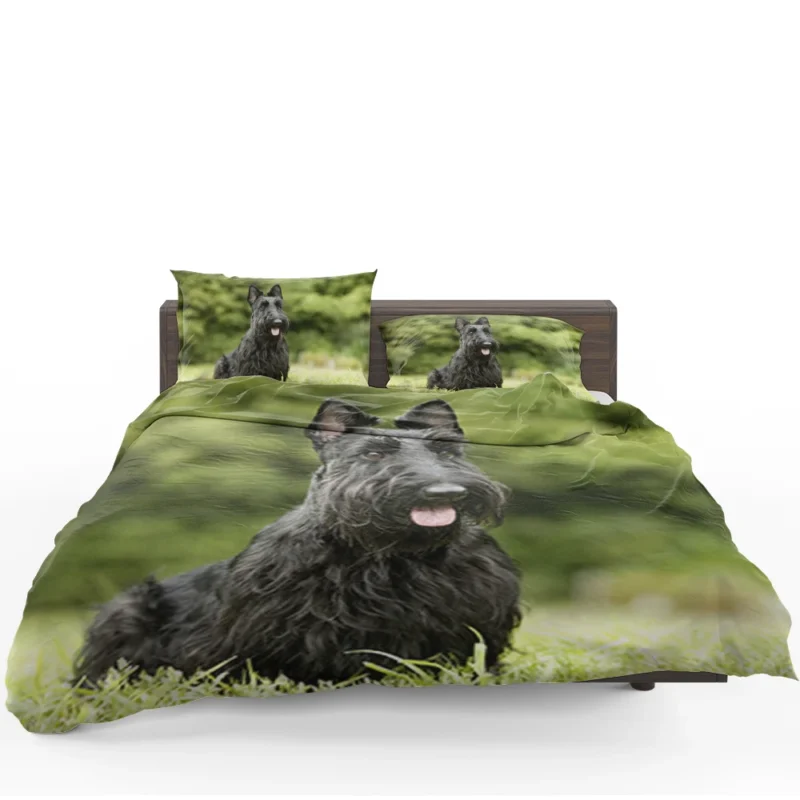 Charming Scottish Terrier Gathering Bedding Set