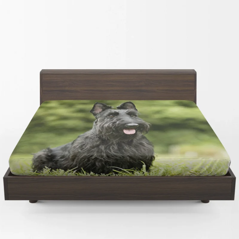 Charming Scottish Terrier Gathering Fitted Sheet 1