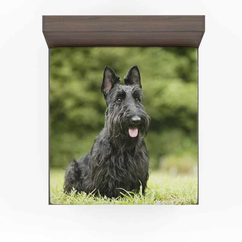 Charming Scottish Terrier Gathering Fitted Sheet