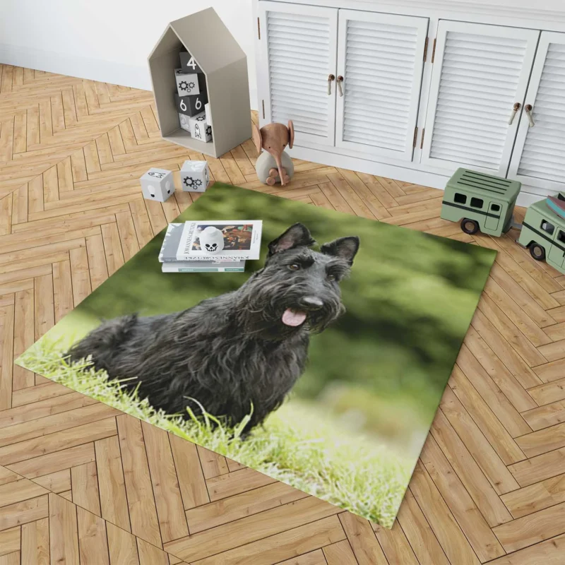 Charming Scottish Terrier Gathering Floor Rug 1