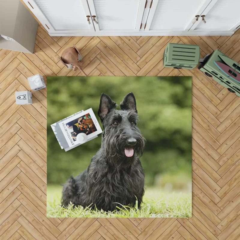 Charming Scottish Terrier Gathering Floor Rug