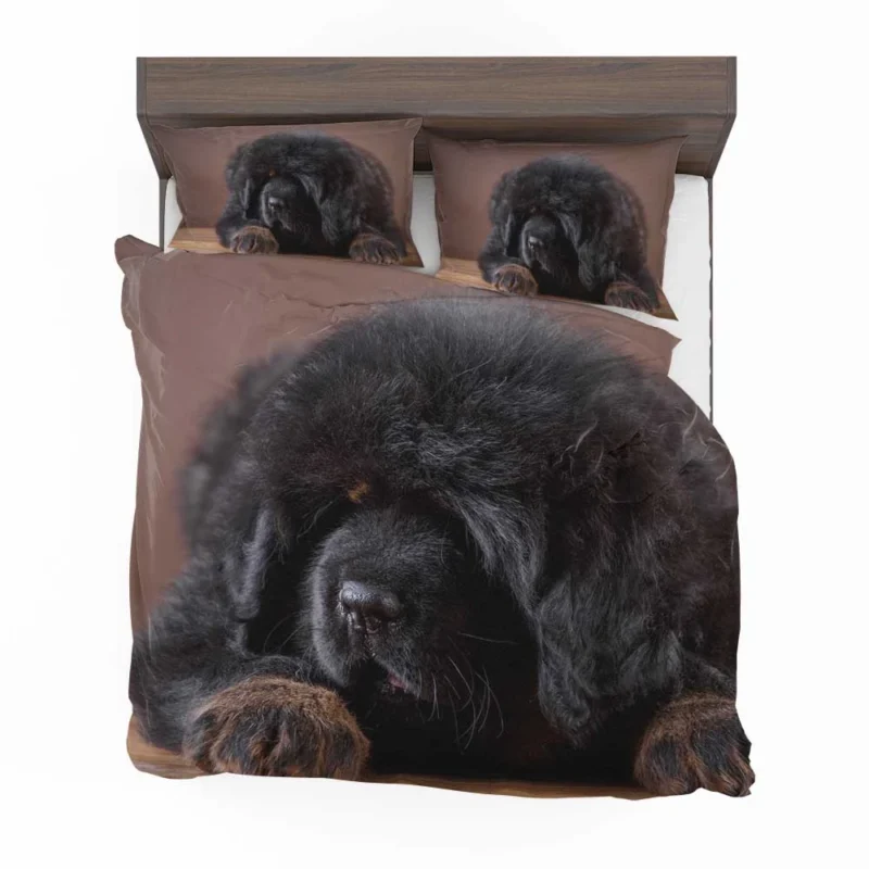 Charming Tibetan Mastiff Puppies in a Basket Bedding Set 1