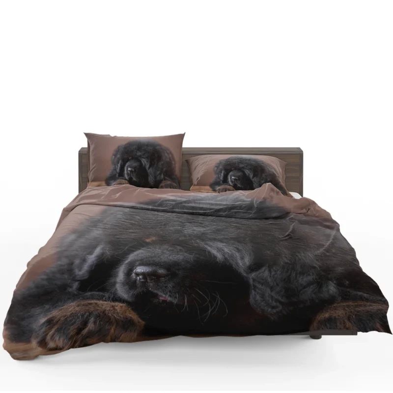 Charming Tibetan Mastiff Puppies in a Basket Bedding Set