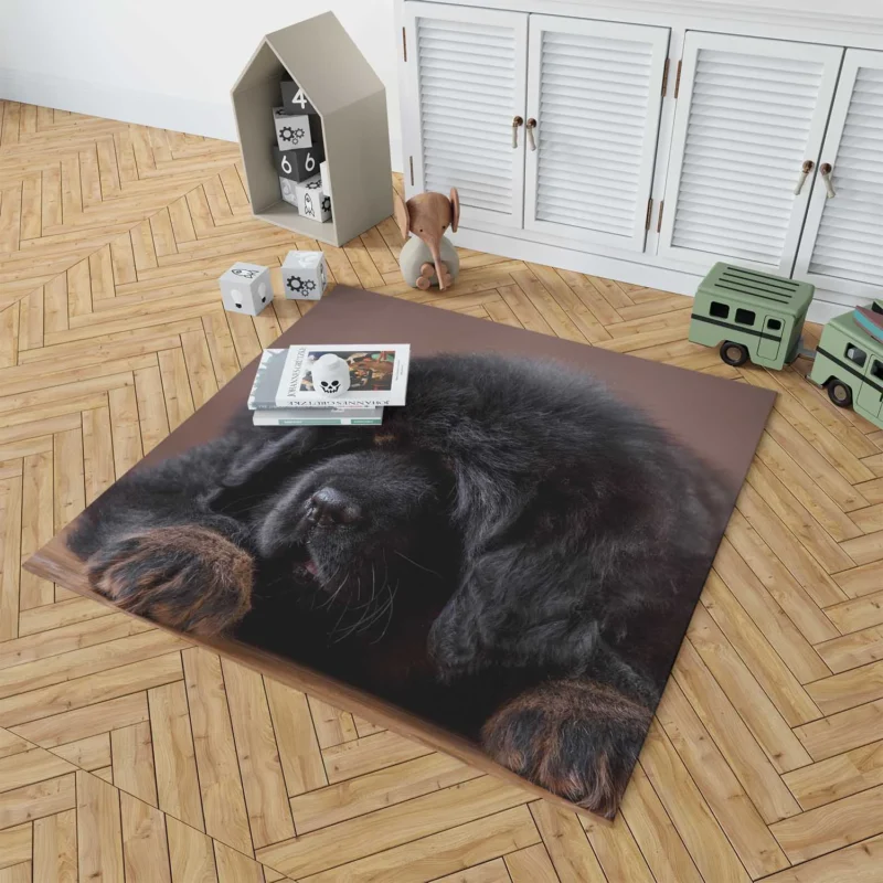 Charming Tibetan Mastiff Puppies in a Basket Floor Rug 1