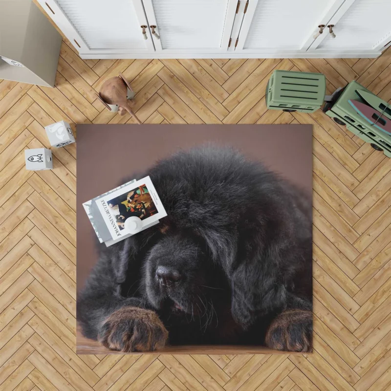 Charming Tibetan Mastiff Puppies in a Basket Floor Rug