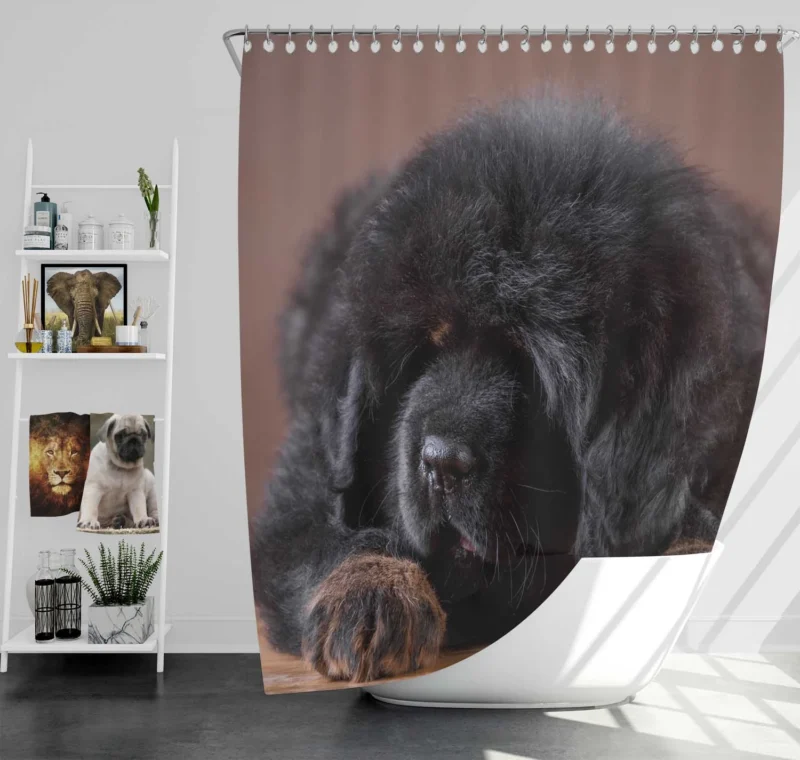 Charming Tibetan Mastiff Puppies in a Basket Shower Curtain