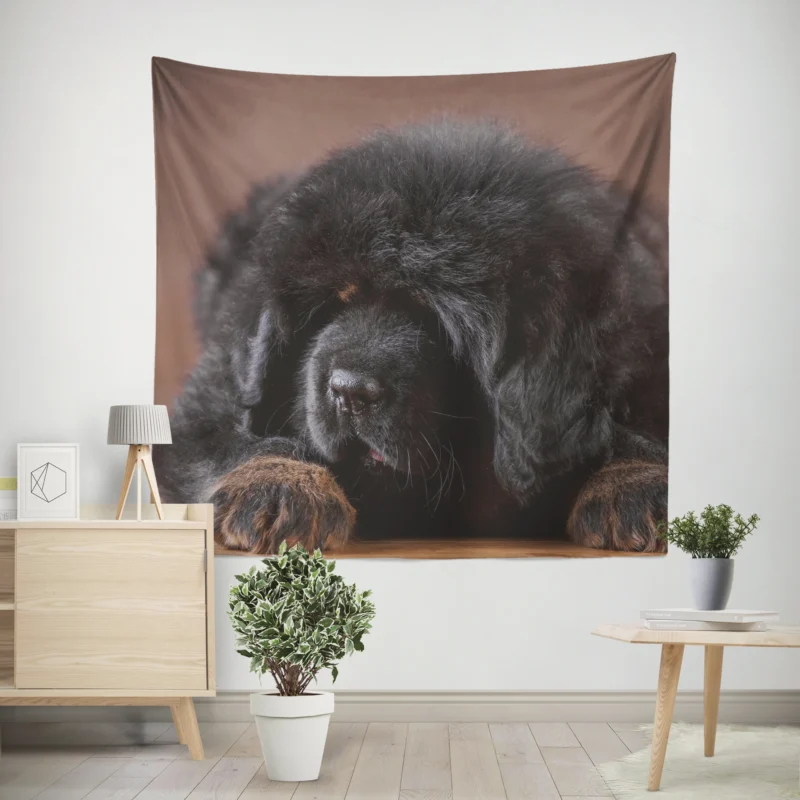 Charming Tibetan Mastiff Puppies in a Basket Wall Tapestry