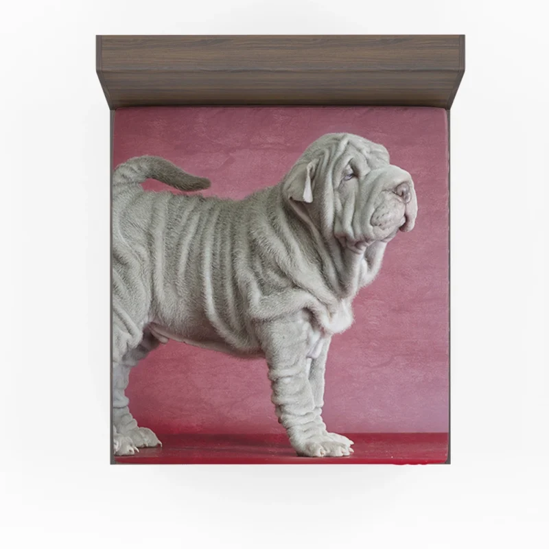 Cherubic Shar Pei Quartet Fitted Sheet