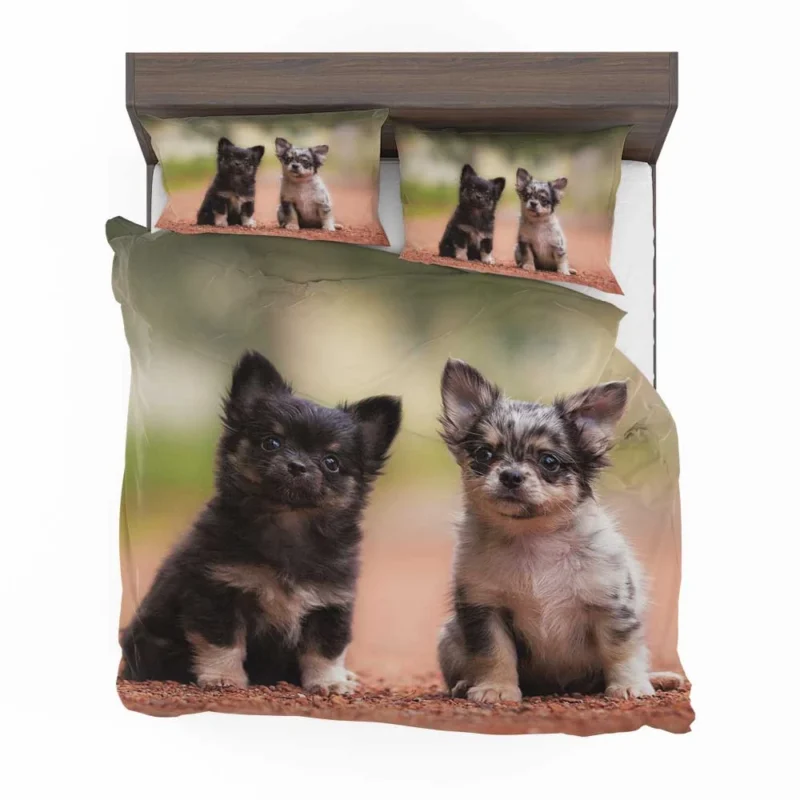 Chihuahua Quartet: Cuteness Bauble Bedding Set 1