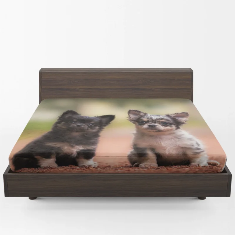 Chihuahua Quartet: Cuteness Bauble Fitted Sheet 1