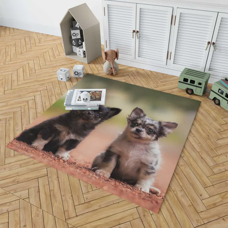 Chihuahua Quartet: Cuteness Bauble Floor Rug 1