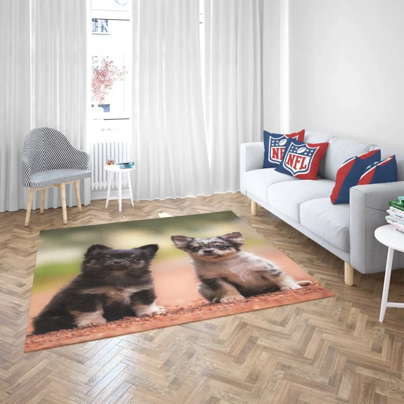 Chihuahua Quartet: Cuteness Bauble Floor Rug 2