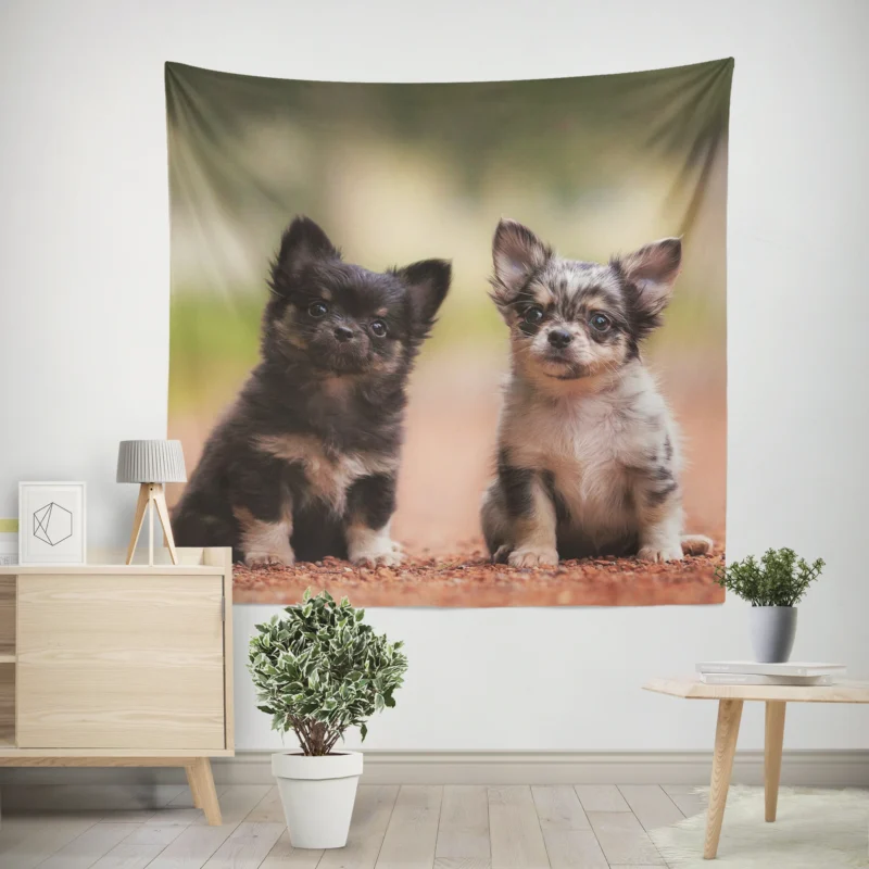 Chihuahua Quartet  Cuteness Bauble Wall Tapestry