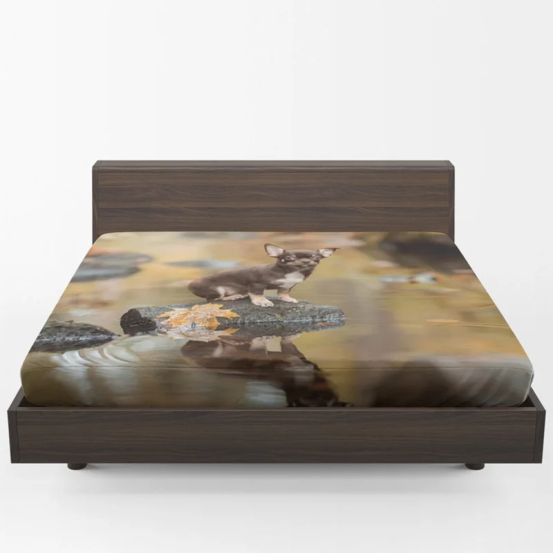 Chihuahua Quartet: Depth of Field Reflection Fitted Sheet 1