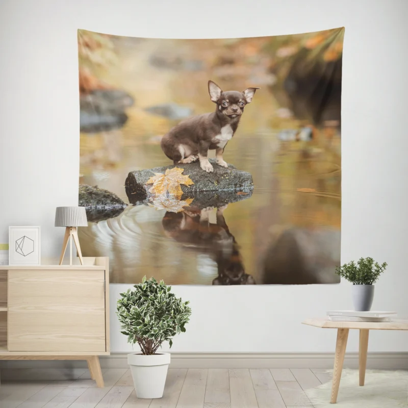 Chihuahua Quartet  Depth of Field Reflection Wall Tapestry