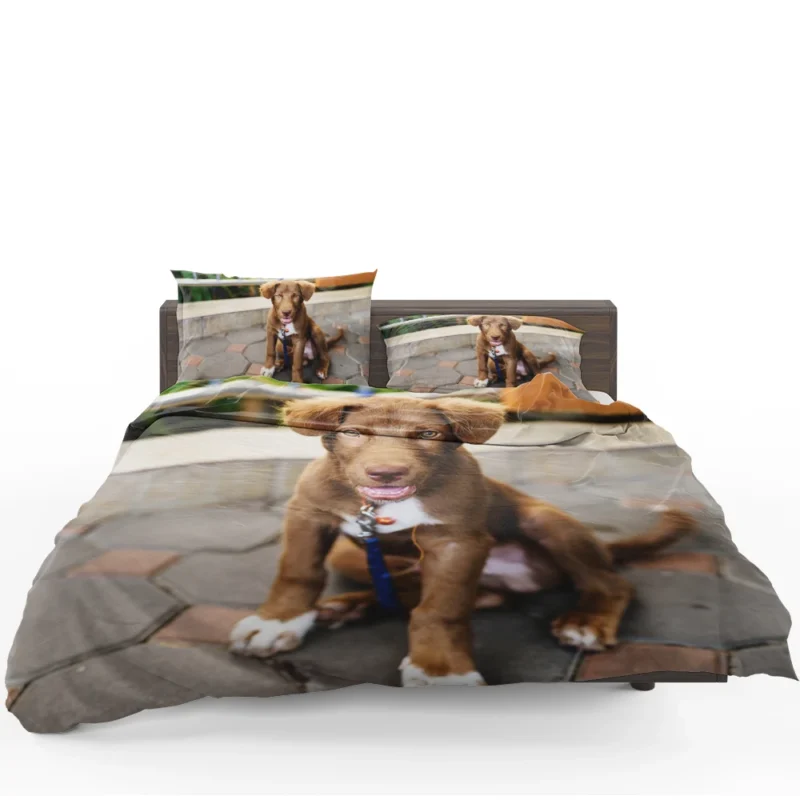 Chocolate Charm: Labrador Puppy Quartet Bedding Set