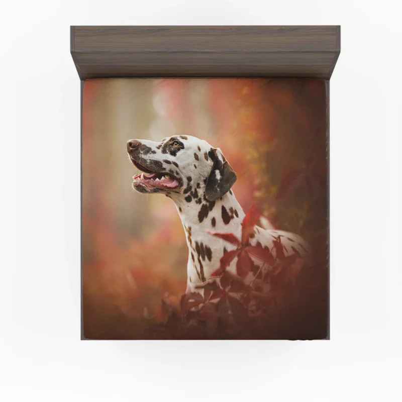 Chocolate Dalmatian in Fall: Dalmatian Quartet Fitted Sheet